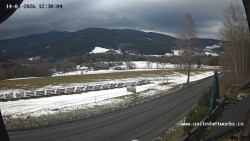 Údolí Úhlavy, Královský Hvozd