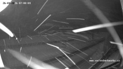 Údolí Úhlavy, Královský Hvozd