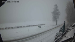 Údolí Úhlavy, Královský Hvozd