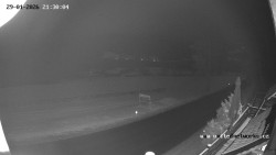 Údolí Úhlavy, Královský Hvozd