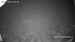 Údolí Úhlavy, Královský Hvozd