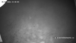 Údolí Úhlavy, Královský Hvozd