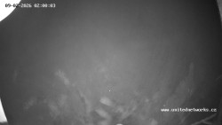 Údolí Úhlavy, Královský Hvozd