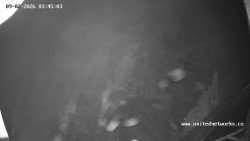 Údolí Úhlavy, Královský Hvozd