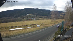 Údolí Úhlavy, Královský Hvozd