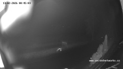 Údolí Úhlavy, Královský Hvozd