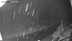 Údolí Úhlavy, Královský Hvozd