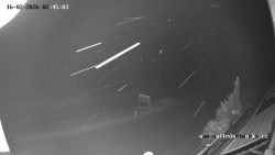 Údolí Úhlavy, Královský Hvozd