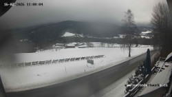 Údolí Úhlavy, Královský Hvozd