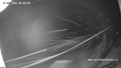 Údolí Úhlavy, Královský Hvozd