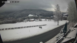 Údolí Úhlavy, Královský Hvozd