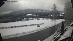 Údolí Úhlavy, Královský Hvozd