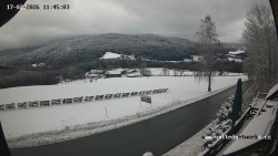 Údolí Úhlavy, Královský Hvozd