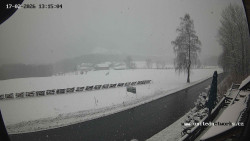 Údolí Úhlavy, Královský Hvozd