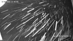 Údolí Úhlavy, Královský Hvozd