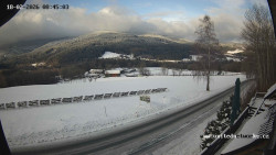 Údolí Úhlavy, Královský Hvozd