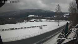 Údolí Úhlavy, Královský Hvozd