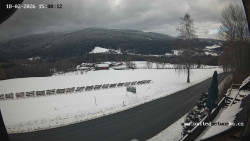 Údolí Úhlavy, Královský Hvozd