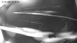 Údolí Úhlavy, Královský Hvozd