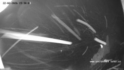 Údolí Úhlavy, Královský Hvozd