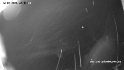 Údolí Úhlavy, Královský Hvozd