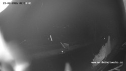 Údolí Úhlavy, Královský Hvozd