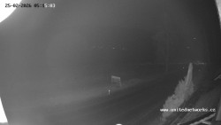 Údolí Úhlavy, Královský Hvozd