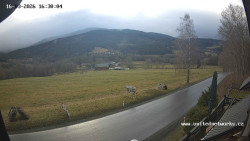 Údolí Úhlavy, Královský Hvozd