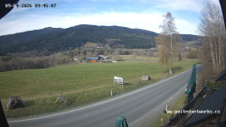 Údolí Úhlavy, Královský Hvozd