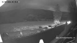 Údolí Úhlavy, Královský Hvozd