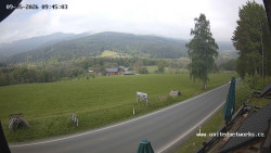 Údolí Úhlavy, Královský Hvozd