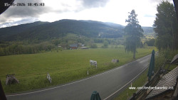 Údolí Úhlavy, Královský Hvozd