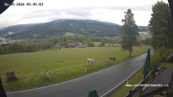 Údolí Úhlavy, Královský Hvozd