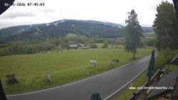 Údolí Úhlavy, Královský Hvozd