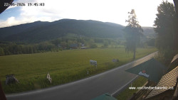 Údolí Úhlavy, Královský Hvozd