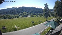 Údolí Úhlavy, Královský Hvozd