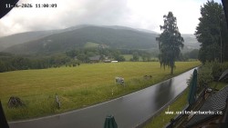Údolí Úhlavy, Královský Hvozd