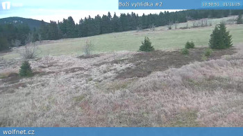 Snímek    1.11.2025 v 14:00