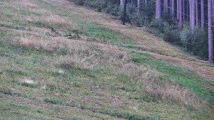 Ośrodek narciarski przy źródle Sachsa - Ośrodek narciarski przy źródle Šachova - 11.9.2026 v 06:45 Ośrodek narciarski przy źródle Sachsa - Ośrodek narciarski przy źródle Šachova - 11.9.2026 v 06:45