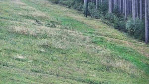 Ośrodek narciarski przy źródle Sachsa - Ośrodek narciarski przy źródle Šachova - 11.9.2026 v 08:45 Ośrodek narciarski przy źródle Sachsa - Ośrodek narciarski przy źródle Šachova - 11.9.2026 v 08:45