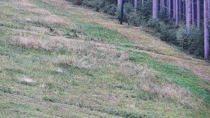 Ośrodek narciarski przy źródle Sachsa - Ośrodek narciarski przy źródle Šachova - 11.9.2026 v 09:30 Ośrodek narciarski przy źródle Sachsa - Ośrodek narciarski przy źródle Šachova - 11.9.2026 v 09:30