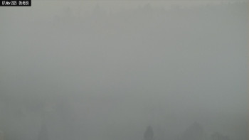 Snímek 7.11.2025 v 07:02