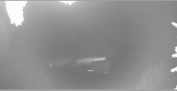 Snímek    25.10.2025 v 06:15