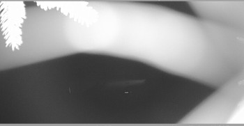 Snímek    26.10.2025 v 02:30