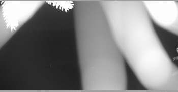 Snímek    26.10.2025 v 06:15