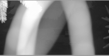 Snímek    26.10.2025 v 17:30