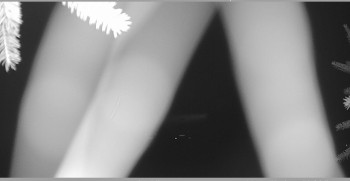 Snímek    26.10.2025 v 18:00