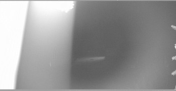Snímek    26.10.2025 v 19:00