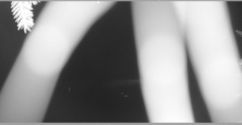Snímek    27.10.2025 v 02:00