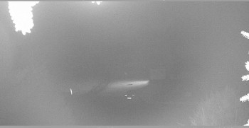 Snímek    27.10.2025 v 05:15